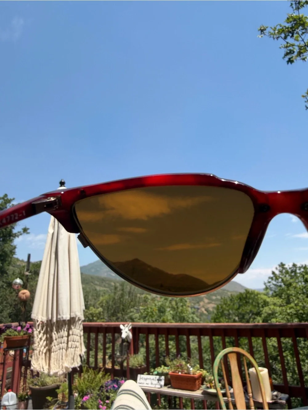 Vintage Nikon Cat-Eye Women's Sunglasses in Tortoise Red